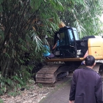 Alat berat jenis backhoe saat membersihkan pohon bambu di sempadan Sungai Besuki.