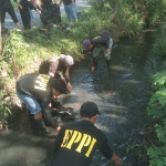 Aktivis lingkungan hidup yang tergabung dalam EPPI saat memunguti sampah di sungai. (Ist).