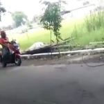 Cuplikan video yang menunjukkan pelaku tengah onani di atas motornya, tak jauh dari SMP/SMA 10 Nopember, Sidoarjo.