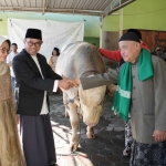Penyerahan simbolis sapi kurban Presiden oleh Wali Kota Batu