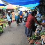 Suasana Pasar Besar di Ngawi pasca turunnya BBM. (Dya Ayu/BangsaOnline)