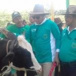 Bupati Pasuruan Irsyad Yusuf (tengah) saat melihat salah satu sapi peserta kontes.