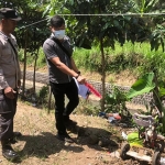 Petugas saat menunjukkan lokasi balita yang meninggal terjebur ke sungai di Kecamatan Siliragung, Banyuwangi.