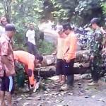 Petugas dibantu warga memotong pohon yang tumbang dan melintang di jalur lingkar Pule. foto: herman/ BANGSAONLINE