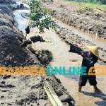 Winarto saat mengumpulkan pasir yang diambilnya dari sungai. Foto: Muji Harjita/BANGSAONLINE