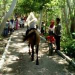 MURAH: Seorang pengunjung saat naik kuda di Hutan Kota Trenggalek, kemarin. foto: herman/ BANGSAONLINE