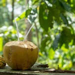 Ilustrasi degan ijo. Foto: Freepik.