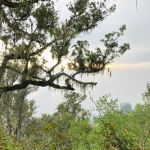 Hutan Gunung Raung. Foto: M. Sulthon Neagara/BANGSAONLINE.com