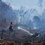 3 Wilayah Paling Parah Terpapar Kabut Asap, Ada Pekanbaru. Foto: Ist