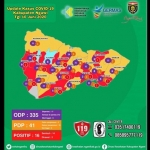 Peta sebaran kasus Covid-19 di Kabupaten Ngawi per 10 Juni 2020.