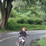 Salah seorang pengendara melewati kawasan Jalan Raya Tlekung dan Oro-oro Ombo yang rawan ranting pohon trembesi patah.