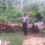 Polisi menunjukan kayu yang diduga hasil curian