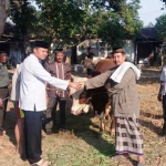 Penyerahan hewan kurban berupa 1 ekor sapi dan 6 ekor kambing oleh Letkol Arh Sri Rusyono S, S.E. Dandim 0810 kepada Ta’mir Masjid Baitussalam.