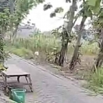 Kondisi ruas jalan kabupaten dengan konstruksi paving yang menghubungkan Desa Domas, Kecamatan Menganti, dengan Desa Bengkeloh, Kecamatan Benjeng, Gresik. Foto: Ist