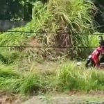 Video viral yang menjadi atensi Kapolsek Krian.