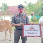 Amrullah, Direktur SDM dan Umum PT. Adi Saranasegara Indonesia saat menyerahkan bantuan seekor sapi untuk Kabupaten Bangkalan, Rabu (29/7) kemarin.