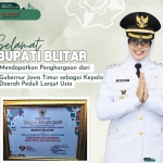 Bupati Blitar Rini Syarifah mendapatkan penghargaan Kepala Daerah Peduli Lansia Foto: Instagram.com/pemkab_blitar