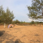 Pantai Permata, rencana lokasi camping para pejabat Pemkot Probolinggo.