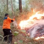 Petugas saat mencoba memadamkan kobaran api di Gunung Lawu.