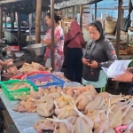 Petugas saat melakukan monitoring daging ayam di pasar. (Ist)