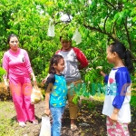 Pengunjung saat berada di lokasi wisata petik buah blimbing madu di Desa Catak Gayam. Foto: AAN AMRULLOH/ BANGSAONLINE