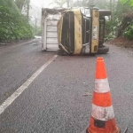 Truk boks Colt Diesel Fuso muat roti terguling di jalur alternatif Bondowoso-Banyuwangi. Foto: Ist.