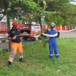 Petugas BPBD Tuban menunjukkan Ular Piton yang berhasil ditangkap di sebuah pabrik rokok.