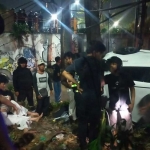Evakuasi penumpang mobil jenis Honda Brio yang terjun dari Flyover Gubeng, Surabaya.

