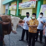 Ketua DPD Partai Golkar Jawa Timur M. Sarmuji saat menyerahkan secara simbolis hewan kurban untuk momentum Idul Adha tahun ini. foto: istimewa