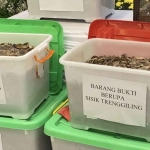 Barang bukti sisik trenggiling yang diamankan Polda Jatim. Foto: Ist.