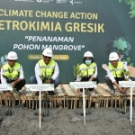 Jajaran Direksi Petrokimia Gresik saat penanaman mangrove bersama warga di pesisir sekitar perusahaan. Foto: Ist.