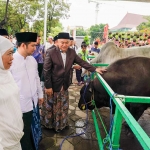 Gubernur Khofifah bersama wakilnya ketika meninjau hewan kurban yang ada di Masjid Nasional Al-Albar, Surabaya.