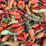 Simak fluktuasi harga sembako Lumajang hari ini, Foto: Bangsaonline.