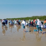 Ratusan relawan lingkungan dari berbagai elemen terlibat dalam penanaman pohon mangrove di Pantai Galis Pamekasan, Ahad (6/10).