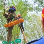 Prosesi penyelamatan penebang pohon yang tersangkut.