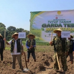 Tutup tanam Garda Tebu Nusantara di Kebun Benih Datar (KBD) tebu varietas Panjalu. Foto: Ist