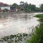 Sungai Pucang Jenggolo yang volume airnya sedang tinggi.