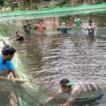 Salah satu tambak udang yang ada di Pacitan.