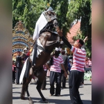 Salah satu kuda yang memeriahkan Festival Jaran Serek 2025