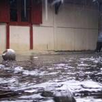 Tampak genangan banjir di salah satu pemukiman warga di Kepatian Tulungagung. (Ferry/BangsaOnline)