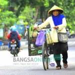 Salah seorang ibu di Kota Bojonegoro sedang berjuang mencari nafkah untuk keluarga, khususnya untuk anak-anaknya. Ia setiap hari menyusuri jalanan untuk menjual aneka sayuran dan belanjaan lainnya. foto: eky nurhadi/ BANGSAONLINE