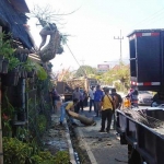 Salah satu aktivitas penebangan pohon yang sudah mati di Jalan Raya Bukit Berbunga Sidomulyo.