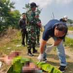 Petugas saat mengidentifikasi jenazah perempuan yang ditemukan tewas tergorok di Desa Keting, Kecamatan Jombang, Jember.