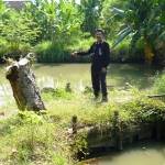 ?Kepala Desa Kebonsari, Imam Sarujimenunjukan lokasi kolam ikan tawar milik warganya yang mangkrak. foto: agus hp/BANGSAONLINE