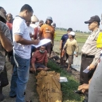 Jenazah korban saat masih berada di persawahan.