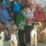 Camat Naim mendampingi eks ODGJ menerima bantuan kambing dari Dinas Sosial Lamongan. 