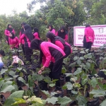 Pengurus Ranting Bhayangkari Krembung saat meninjau lahan untuk program Pekarangan Pangan Lestari (P2L) di Desa Lemujut.