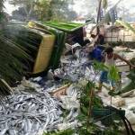 Kondisi truk yang terguling sehingga muatan ikan layurnya tumpah. foto: herman/ BANGSAONLINE