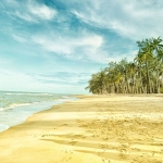 Ilustrasi gambar pantai 