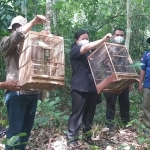 Pelepasliaran 30 ekor burung cucak hijau di Blok Sadengan Kawasan Taman Nasional Alas Purwo, Jumat (22/10).